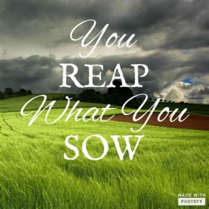 Reap what you sow