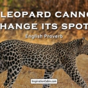 A Leopard can't change it's spots
