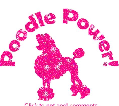 Poodle Power