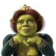 Not Shrek's Fiona